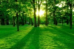 ـ[صورة وآية: اللون الأخضر ... لماذا؟ ]ـ Green