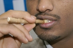   تنظيف الأسنان يقوي القلب Miswak77