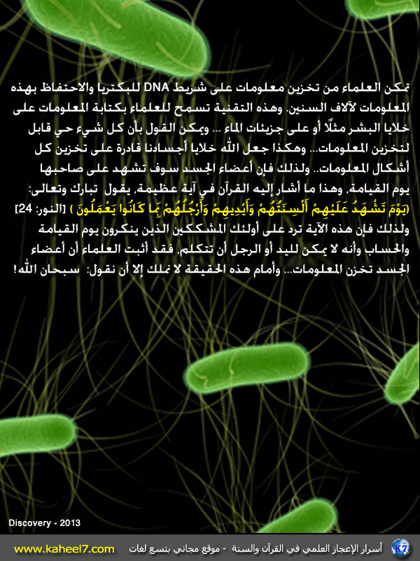 آيـات الخلق وعظمة الله ((القرآن الكريم والاعجاز)) Cells(1)