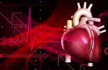  الرياضة أفضل من الدواء لعلاج السكري  Heart-cell