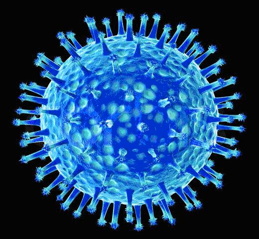  ما هو فيروس أنفلونزا الطيور؟ وهل يمكن أن يتحول إلى وباء؟  Influ-birds