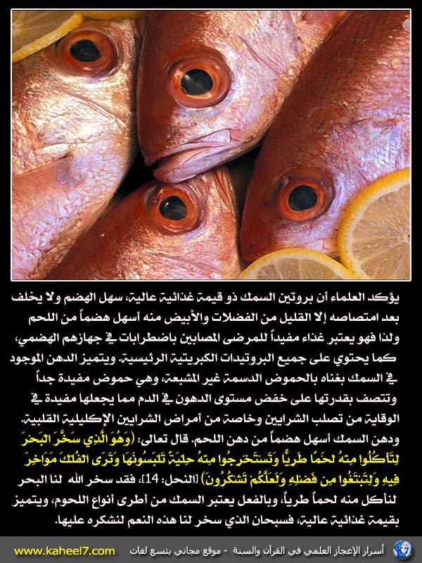 آيـات الخلق وعظمة الله ((القرآن الكريم والاعجاز)) Meat