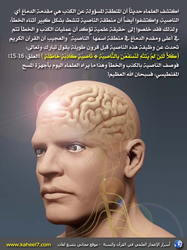 الناصية والكذب Prefrontal