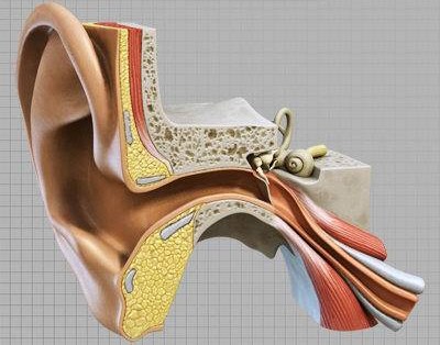 The Power Of Quran Healing Ear41414