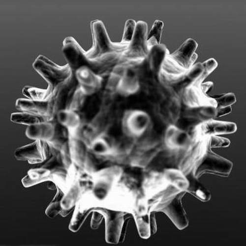 كيف عالج النبي صلى الله عليه وسلم انتشار الأوبئة Big-virus