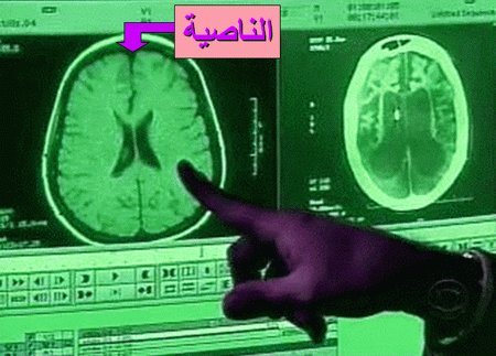 سبع حقائق علمية تشهد بصدق النبي صلى الله عليه وسلم Facts_05