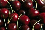 أسرار الشفاء بالغذاء Fresh-cherries