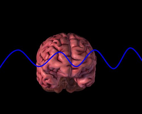 التعلم أثناء النوم Sleep_learning_05