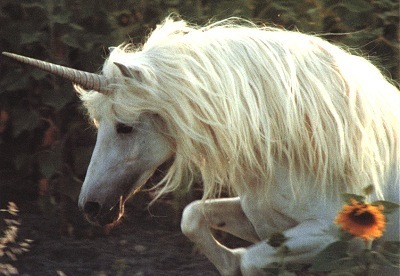 légende - la legende de la licorne  Licorne_envrai