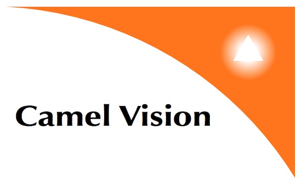 Projekt:Patenschaft Camel_Vision