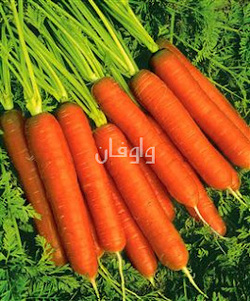 فوائد الجزر الطبية 8963015