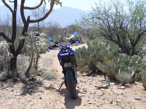 First Ride- 2008 WR250X 1252055263_Avm94-M