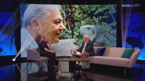 90 év David Attenborough-val (Attenborough at 90) 2016 PDTV x264 Hun-MrX | data.hu Hbav19z1kbg3ytq4hk4p