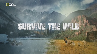 Túlélni a vadont (Survive The Wild) 2016 HDTV 1080i x264 | data.hu Twn2mnp44hvyd0upjxev