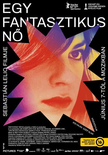 Egy fantasztikus nő (A Fantastic Woman) 2017 BDRip.HunSub. X3dbtfbt2dbt1cpcemfj