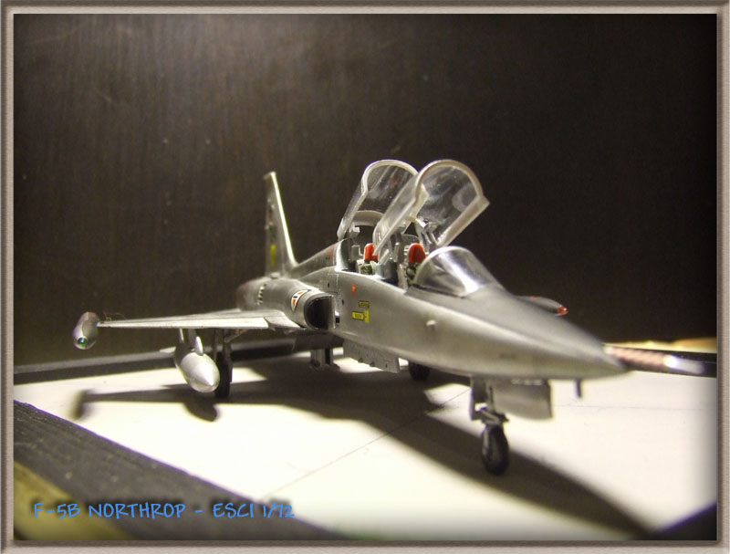 [CONCOURS PAYS EXOTIQUES 2009] NORTHROP F-5B Freedom Fighter  Norvégien - 1/72 [ESCI]  (nf5b)- FINI - Photos page 12 ...... - Page 7 F-5B102