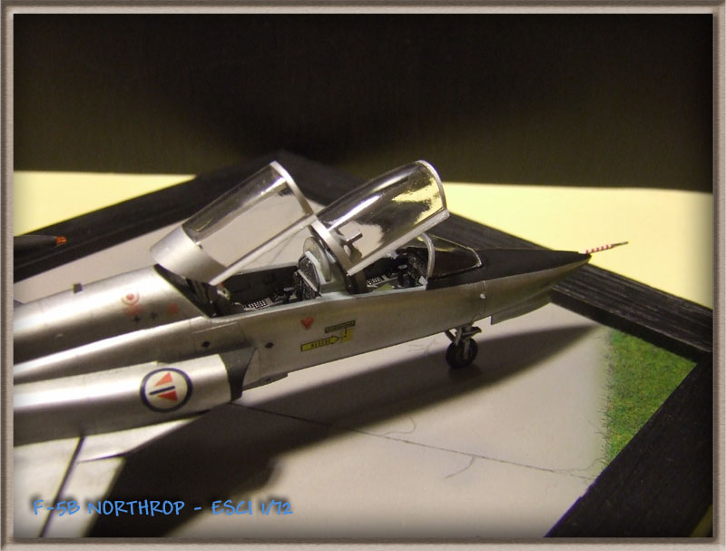 [CONCOURS PAYS EXOTIQUES 2009] NORTHROP F-5B Freedom Fighter  Norvégien - 1/72 [ESCI]  (nf5b)- FINI - Photos page 12 ...... - Page 7 F-5B097