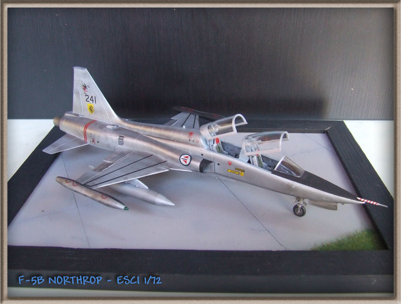 F-5B NORTHROP Norvégien - 1/72 [ESCI] F-5B118