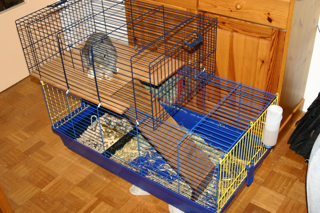 Habitation des lapins : exemples de cages, enclos ... Cage1