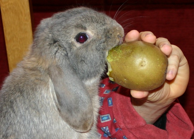 Photos, photos, photos !! :-) Pilgourmand