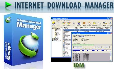 Internet Download Manager 5.19 Idm