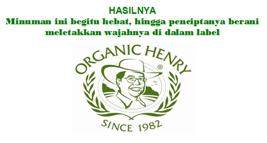 Melilea organik web support launching Juli 2008 Ini...! Organichenry