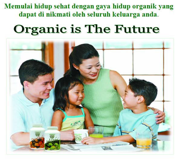 Melilea organik web support launching Juli 2008 Ini...! Organicisthefuture