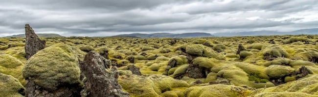 La Balade du Jour : Pause Islandaise by Korben Islande