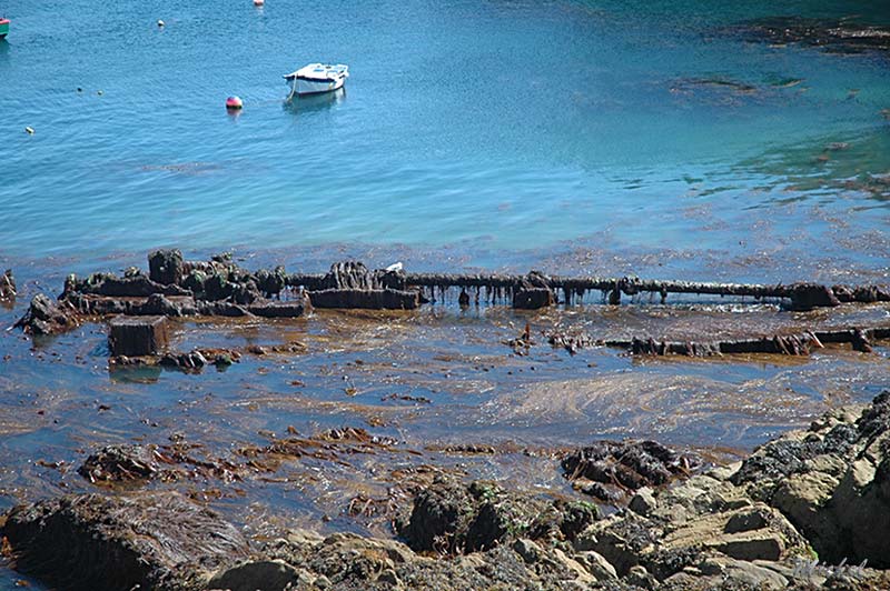 l' épave du Mykonos 029_calgrach_DSC_2227