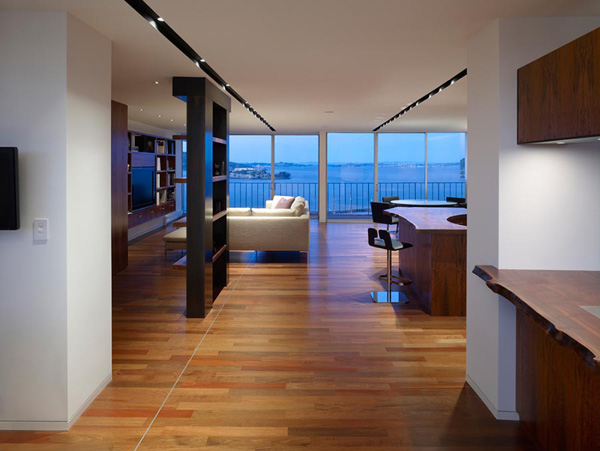 Alina' house Luxury-penthouse-apartment-san-francisco-3