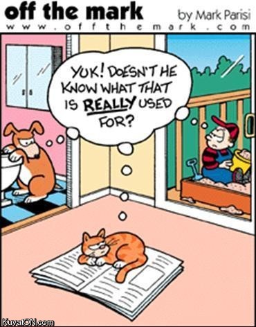 funny pictures - Page 2 Dog_cat_kid_comic