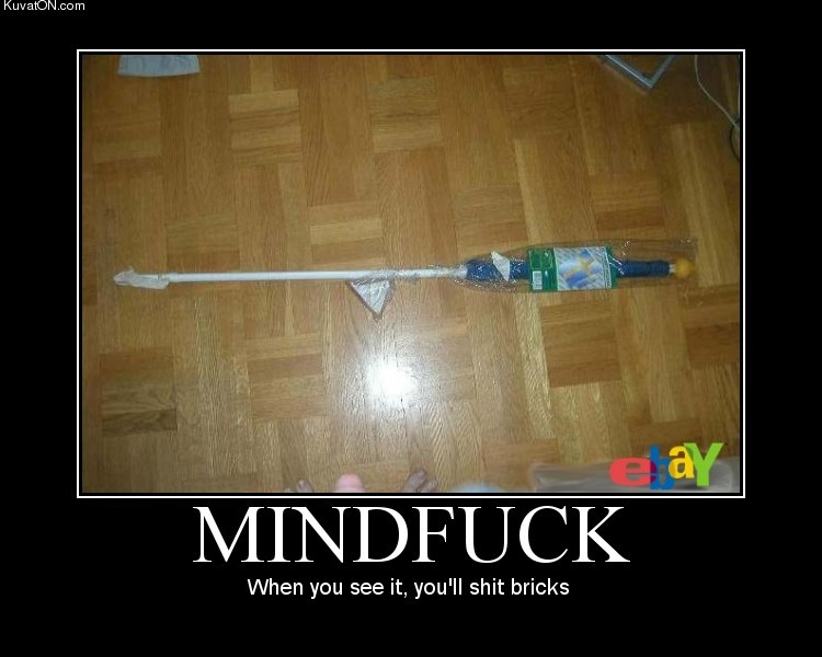 funny pictures Ebay_mindfuck