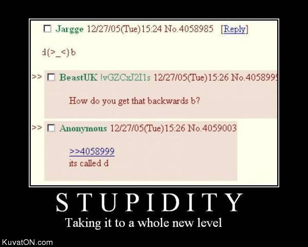 funny pictures Stupidity
