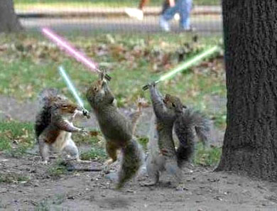 I've said it once, my allies, and I'll freakin say it again!!!! Jedi.squirrels