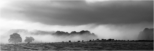 Petits matins d'automne... 04_0046