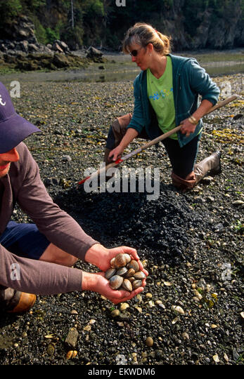 Što biste radili s osobom iznad, prikaži slikom - Page 2 Couple-digging-for-steamer-clams-at-china-poot-bay-kenai-peninsula-ekwdm6