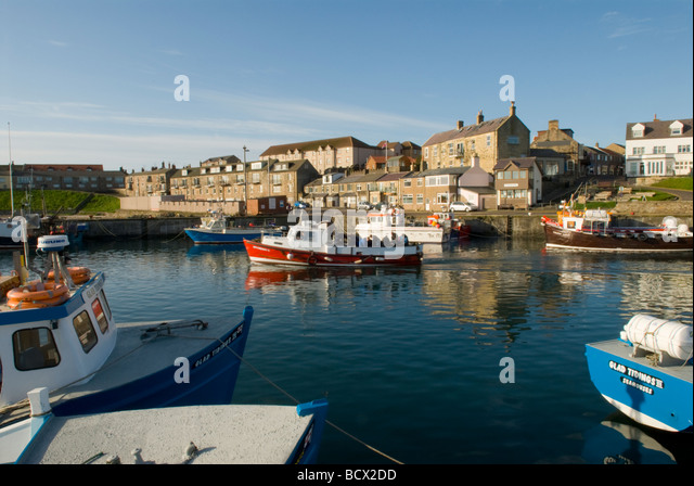 Know your Geography 2 - Page 3 Fishing-boats-in-the-harbour-at-seahouses-northumberland-uk-bcx2dd