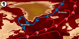 LA CIRCULATION OCÉANIQUE Circu-thermohaline