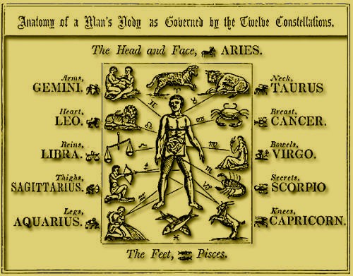 Los signos del zodíaco y el cuerpo Signos-zodiaco-cuerpo