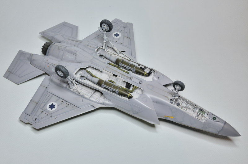 F-35A "Adir" [1/48 Kitty Hawk] - Page 2 _DSC2294