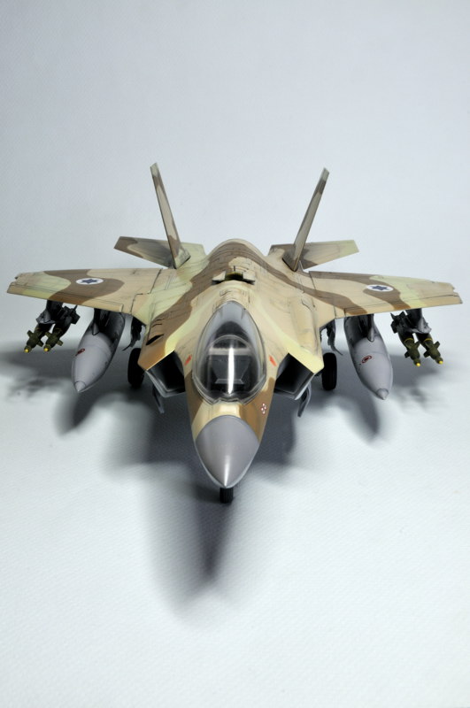 F-35A "Adir" [1/48 Kitty Hawk] - Page 3 _DSC2299