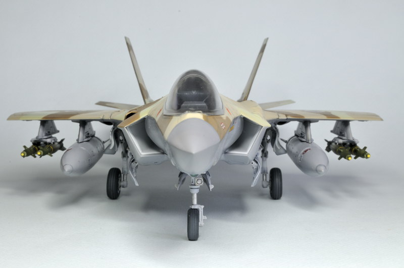 F-35A "Adir" [1/48 Kitty Hawk] - Page 3 _DSC2301