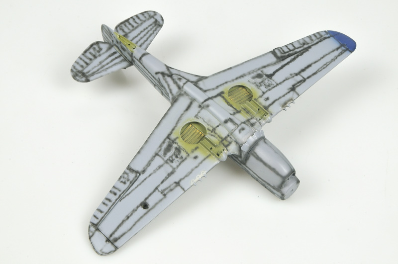 [Special Hobby] 1/72 - Curtiss P-40E Kittyhawk MkI   _DSC5359