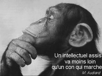 Citations en images Cdbeh7ad