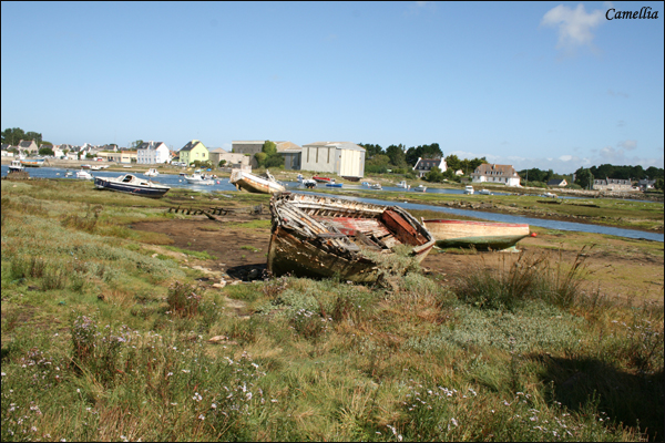 Mes vacances Cimetiere