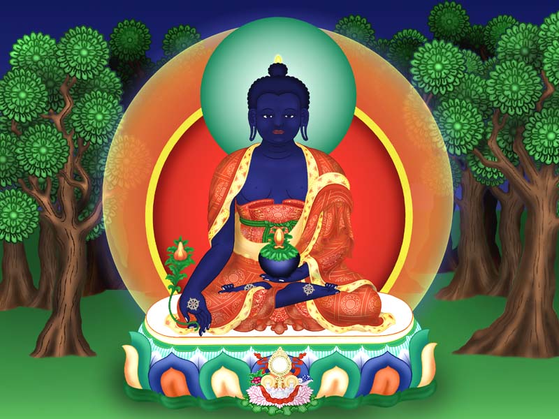 Santé de Lama Zopa Rinpoché BuddhaMedicine02