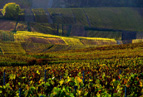 17è rassemblement Lancia Net, 10 avril 2011, en Champagne Img03