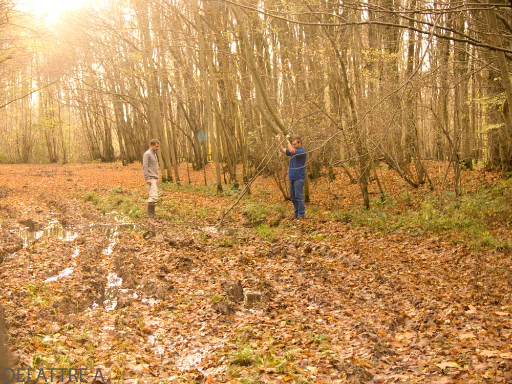 Week-end en Champagne 30/31 Janvier 2010 P1050980