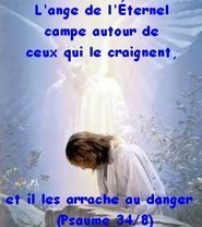 N oublions pas - N'oublions pas nos chers Anges Gardiens! - Page 14 Gwoc5wxk