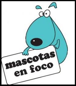 Mascotas en el foco (Lilaluchs) Ima_15